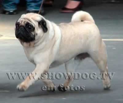 Clique sobre a foto para fechar